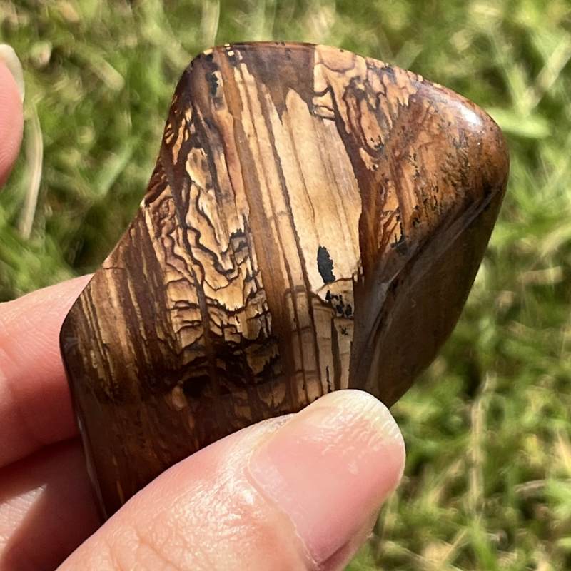 ビッグスフォーメーション・ピクチャージャスパー3