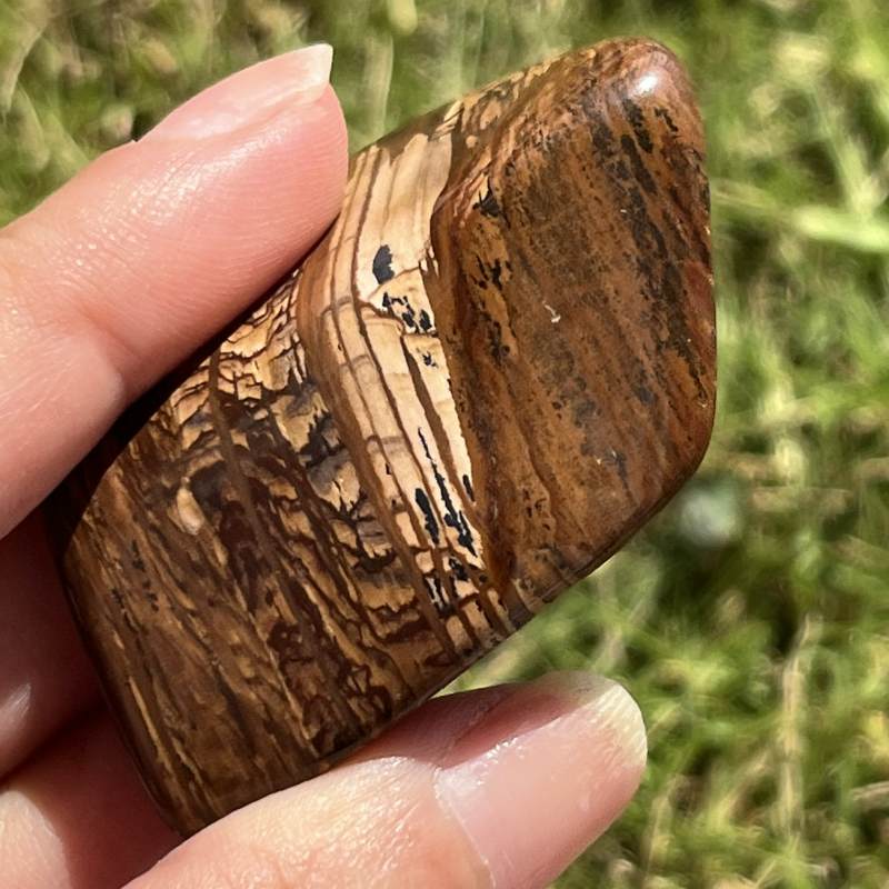 ビッグスフォーメーション・ピクチャージャスパー3