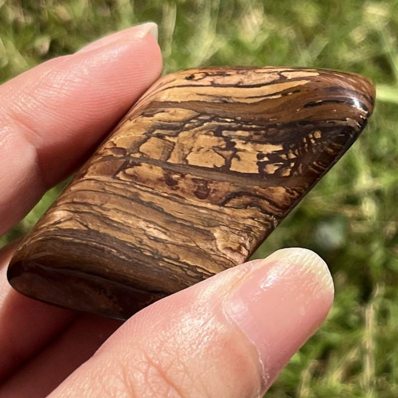 ビッグスフォーメーション・ピクチャージャスパー3