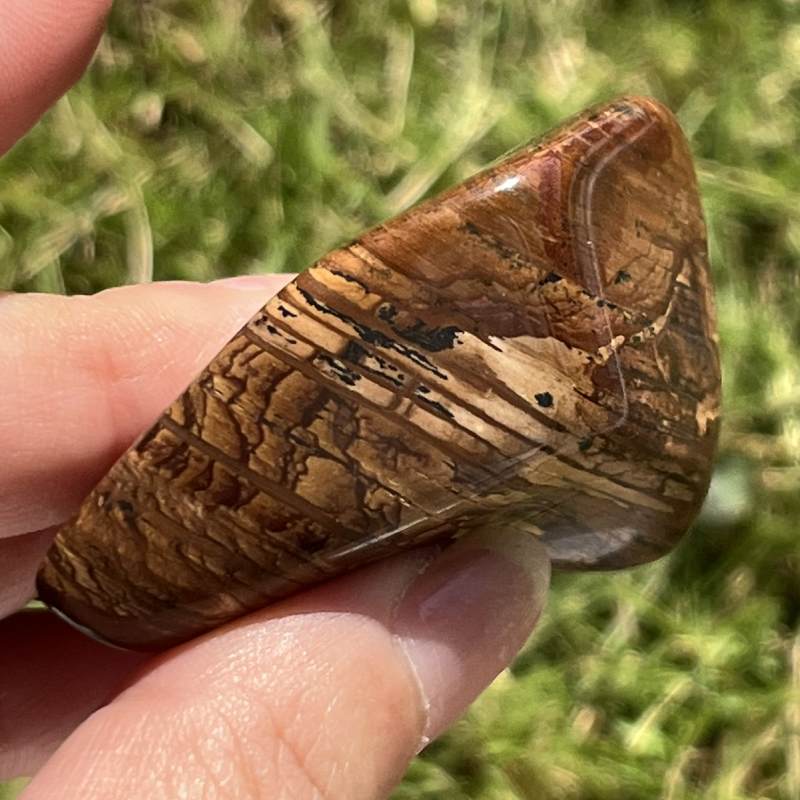 ビッグスフォーメーション・ピクチャージャスパー3