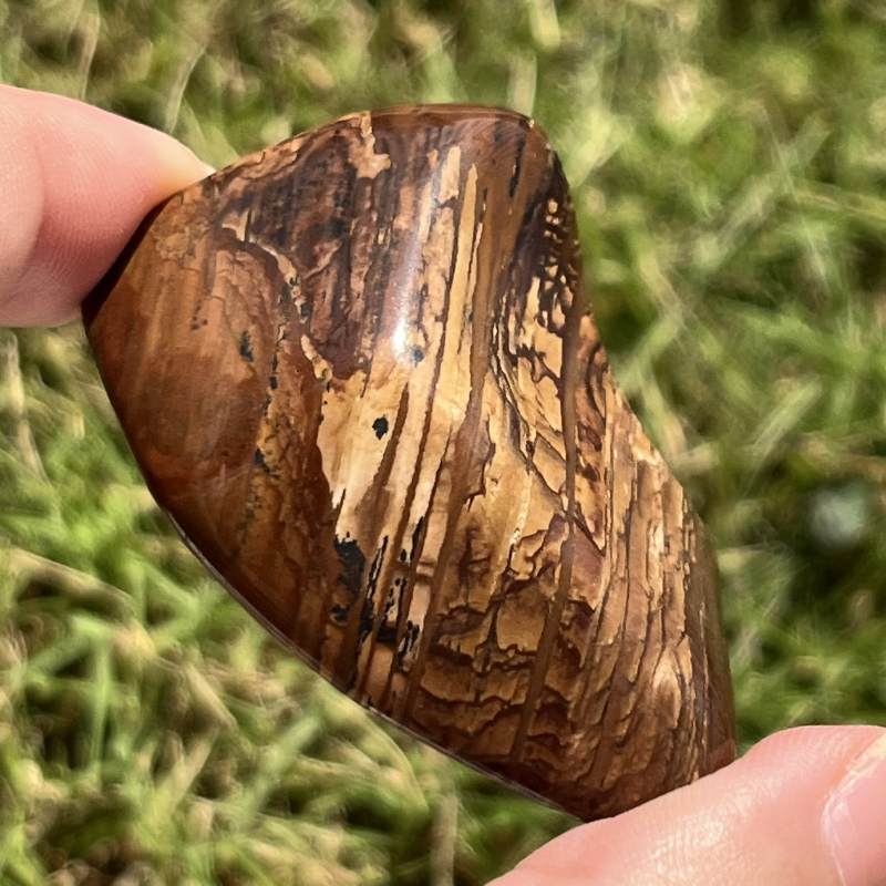 ビッグスフォーメーション・ピクチャージャスパー3