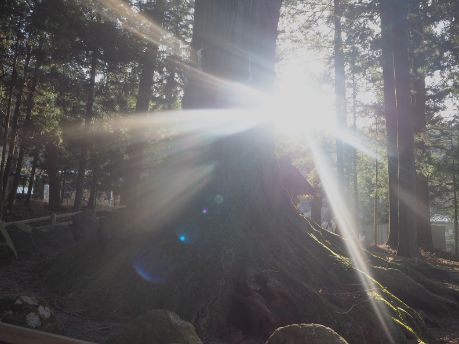 Blessings of Gaia Spray ～富士山<火・fire・う>