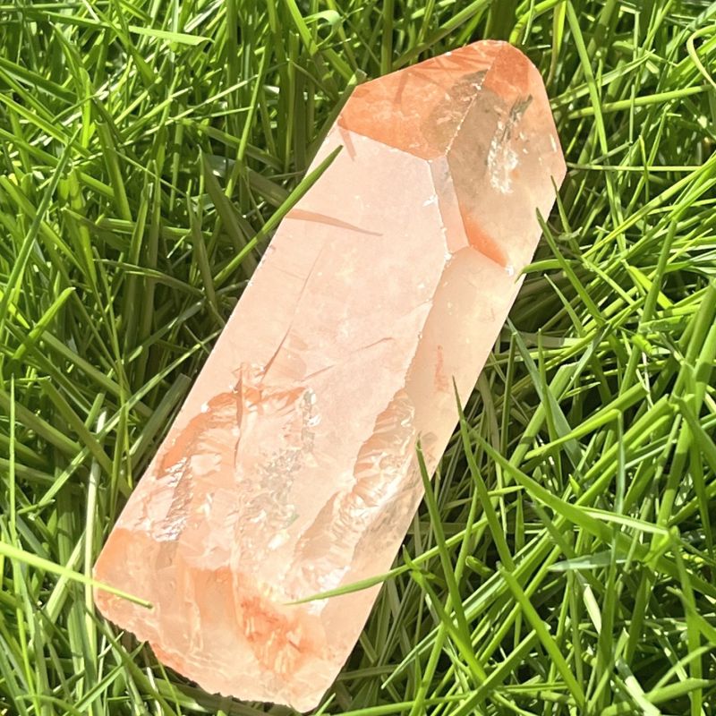 タンジェローズ・ポイント(スターブラリー、セルフヒールド、レインボウ）