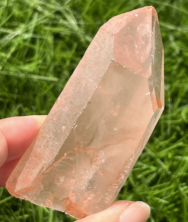 タンジェローズ・ポイント(スターブラリー、セルフヒールド、レインボウ）