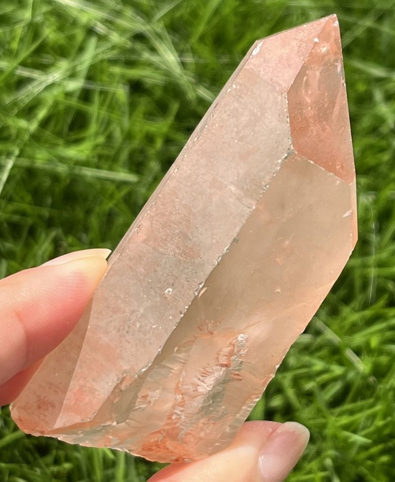 タンジェローズ・ポイント(スターブラリー、セルフヒールド、レインボウ）