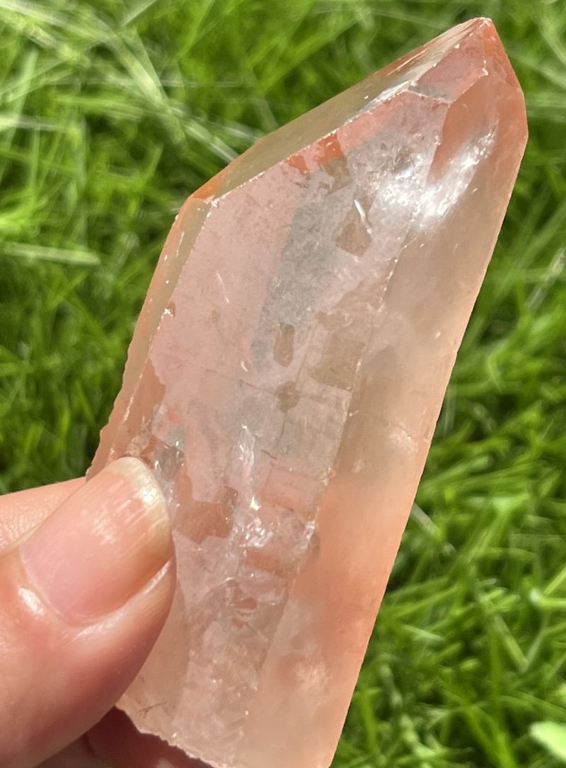 タンジェローズ・ポイント(スターブラリー、セルフヒールド、レインボウ）