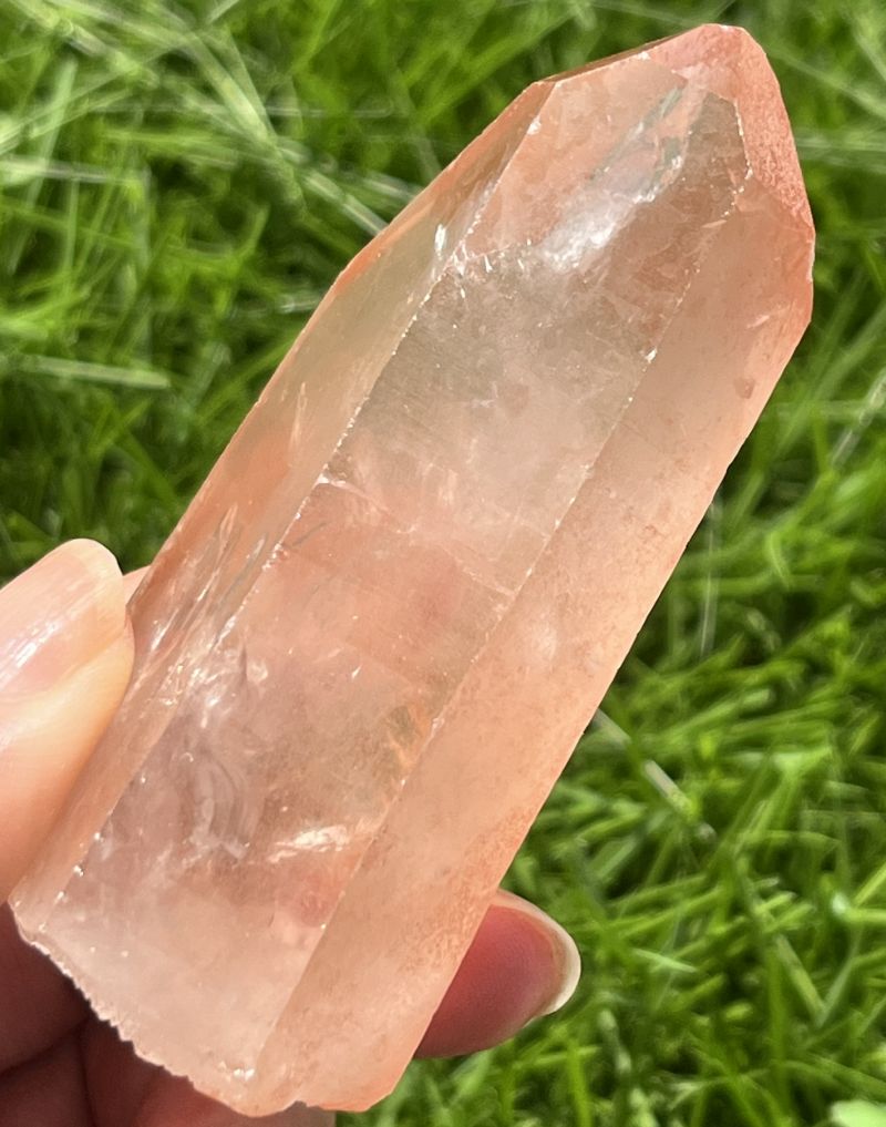 タンジェローズ・ポイント(スターブラリー、セルフヒールド、レインボウ）