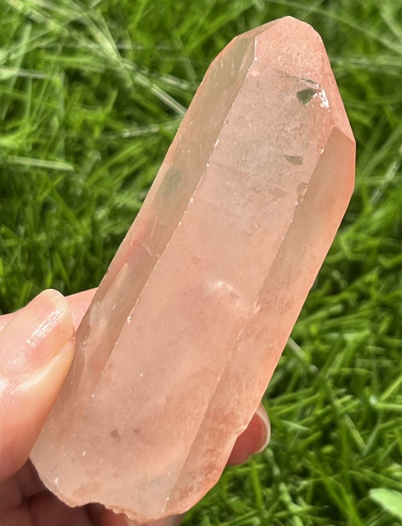 タンジェローズ・ポイント(スターブラリー、セルフヒールド、レインボウ）