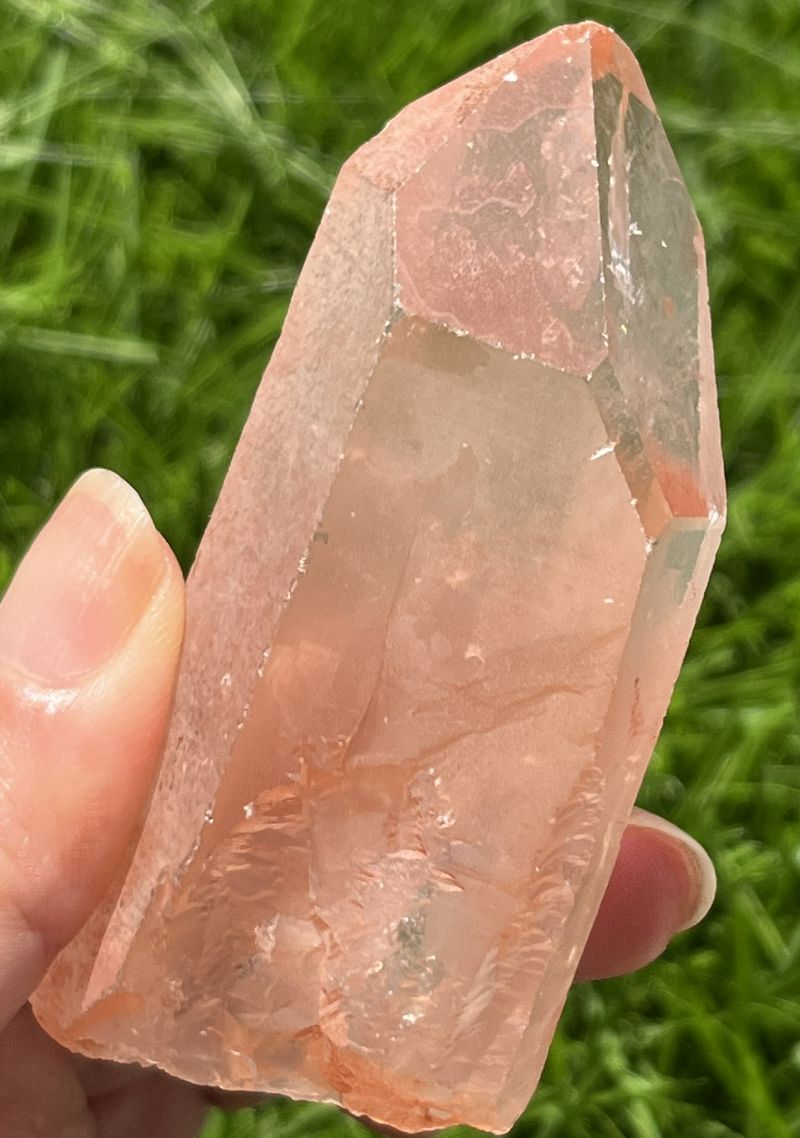 タンジェローズ・ポイント(スターブラリー、セルフヒールド、レインボウ）