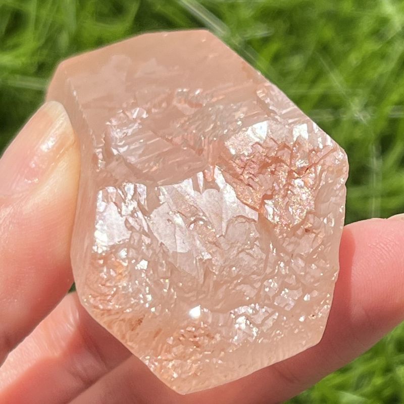 タンジェローズ・ポイント(スターブラリー、セルフヒールド、レインボウ）