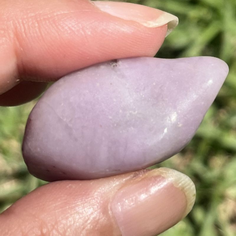 ラベンダー・チューライト・タンブル8