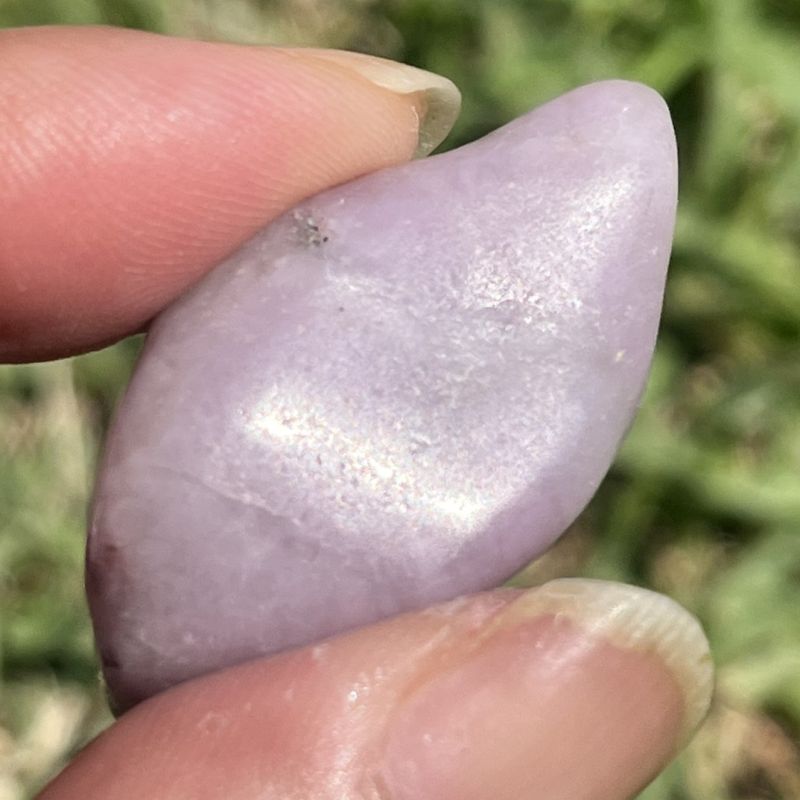 ラベンダー・チューライト・タンブル8
