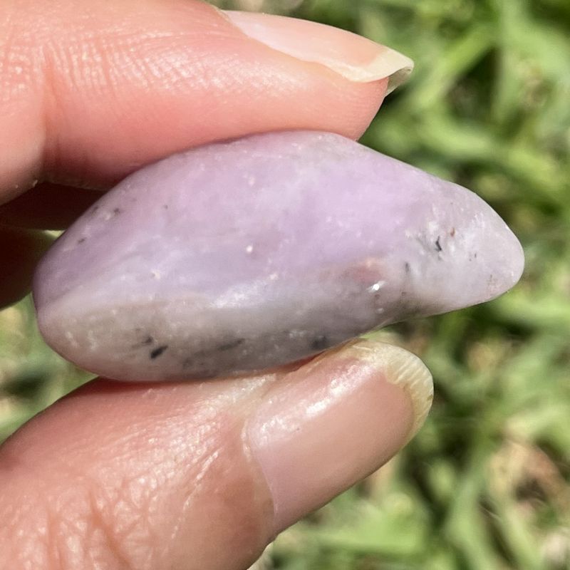 ラベンダー・チューライト・タンブル8