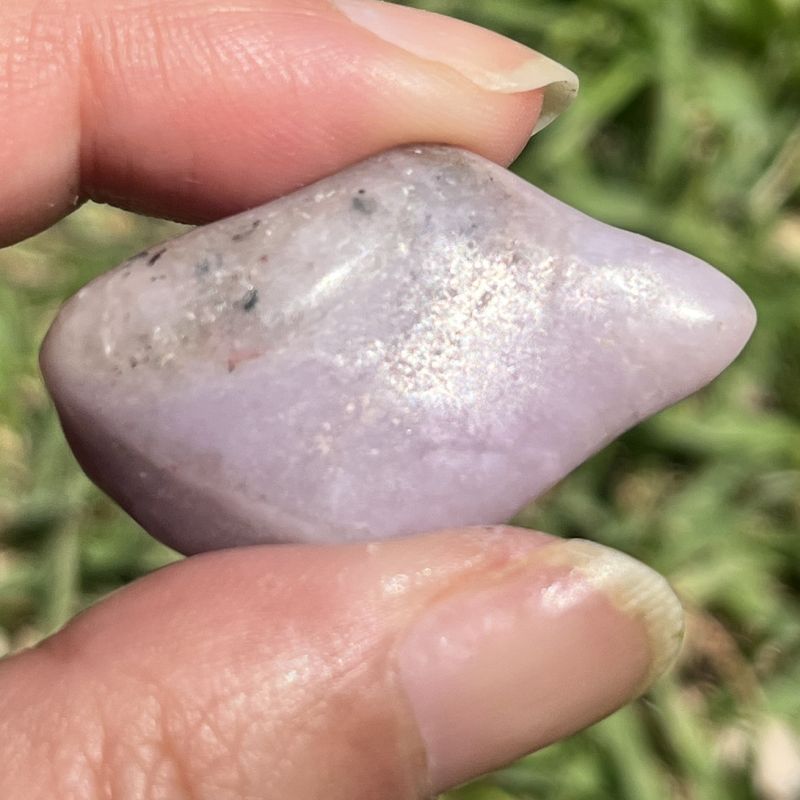 ラベンダー・チューライト・タンブル8