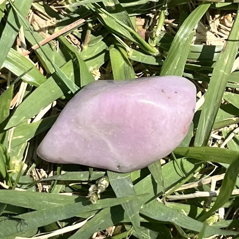 ラベンダー・チューライト・タンブル8