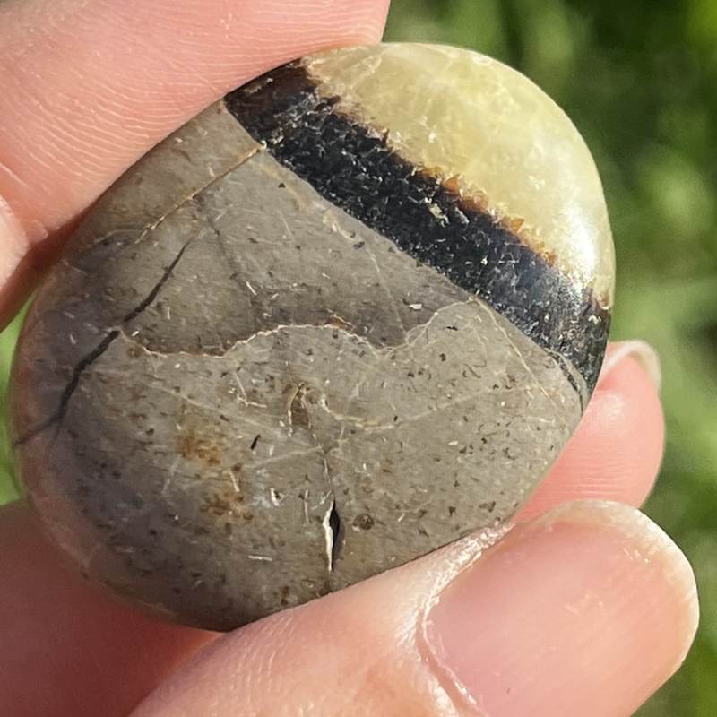 セプタリアン・平型タンブル4