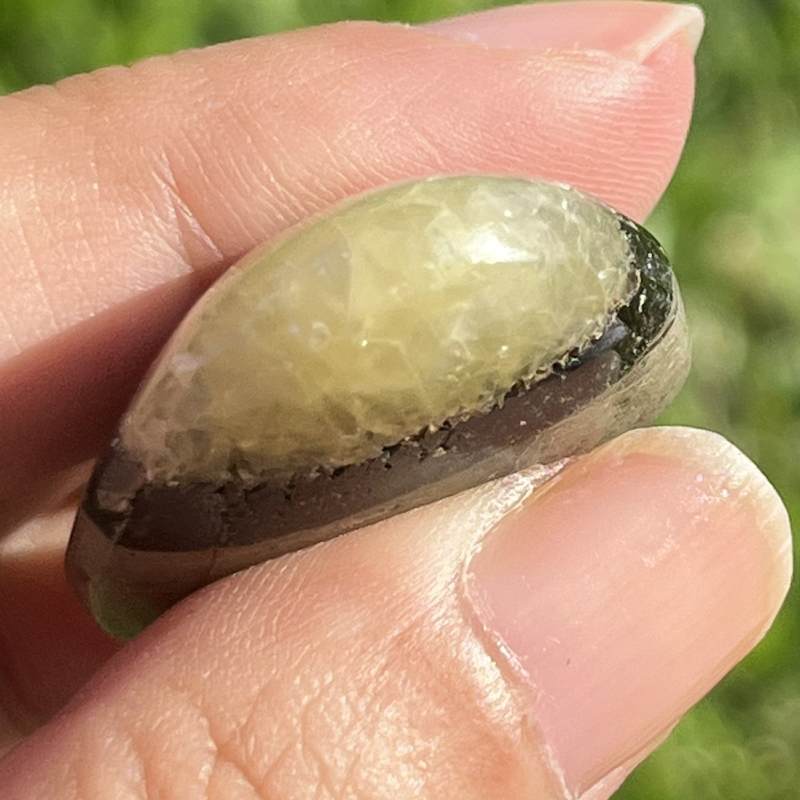 セプタリアン・平型タンブル4