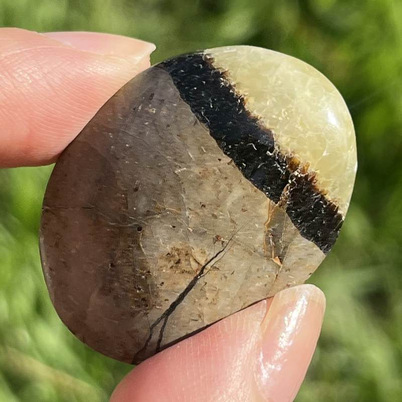 セプタリアン・平型タンブル4