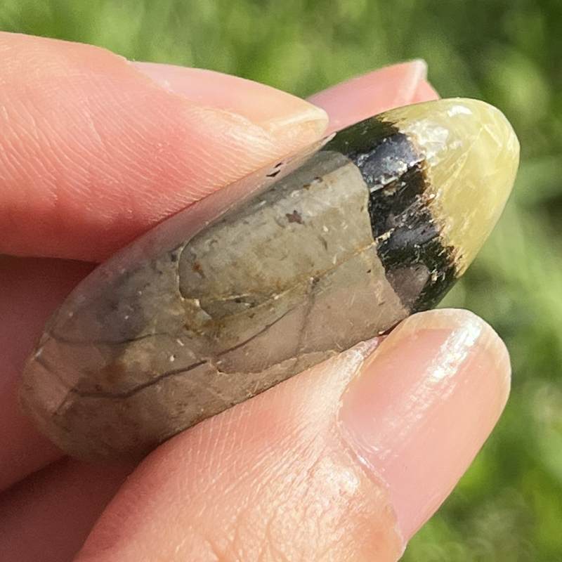 セプタリアン・平型タンブル4