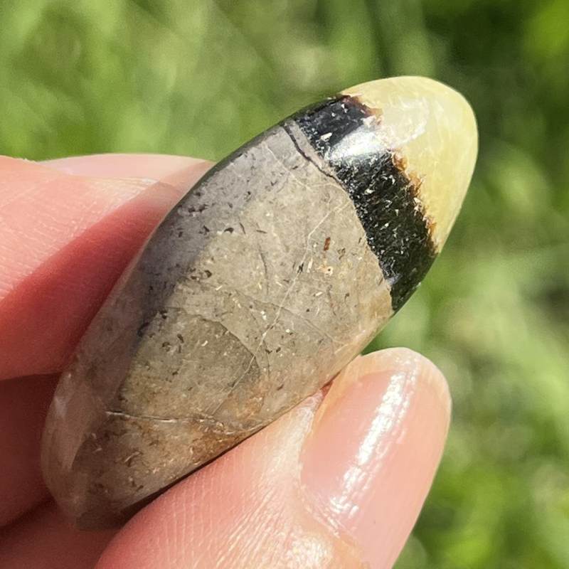 セプタリアン・平型タンブル4