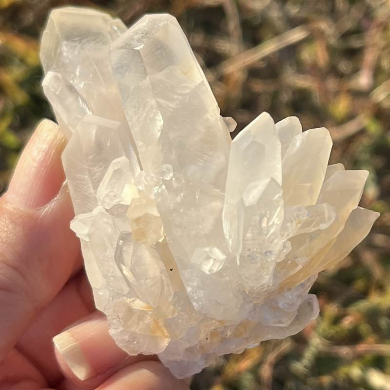 ヘブンリーカルサイト原石（超レア）（フューチャータイムリンク）