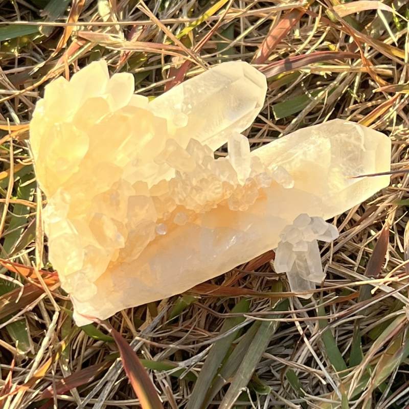 ヘブンリーカルサイト原石（超レア）（フューチャータイムリンク）