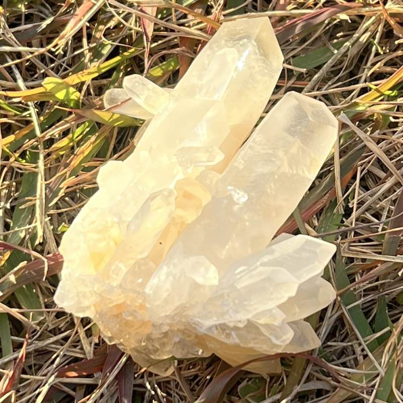 ヘブンリーカルサイト原石（超レア）（フューチャータイムリンク）