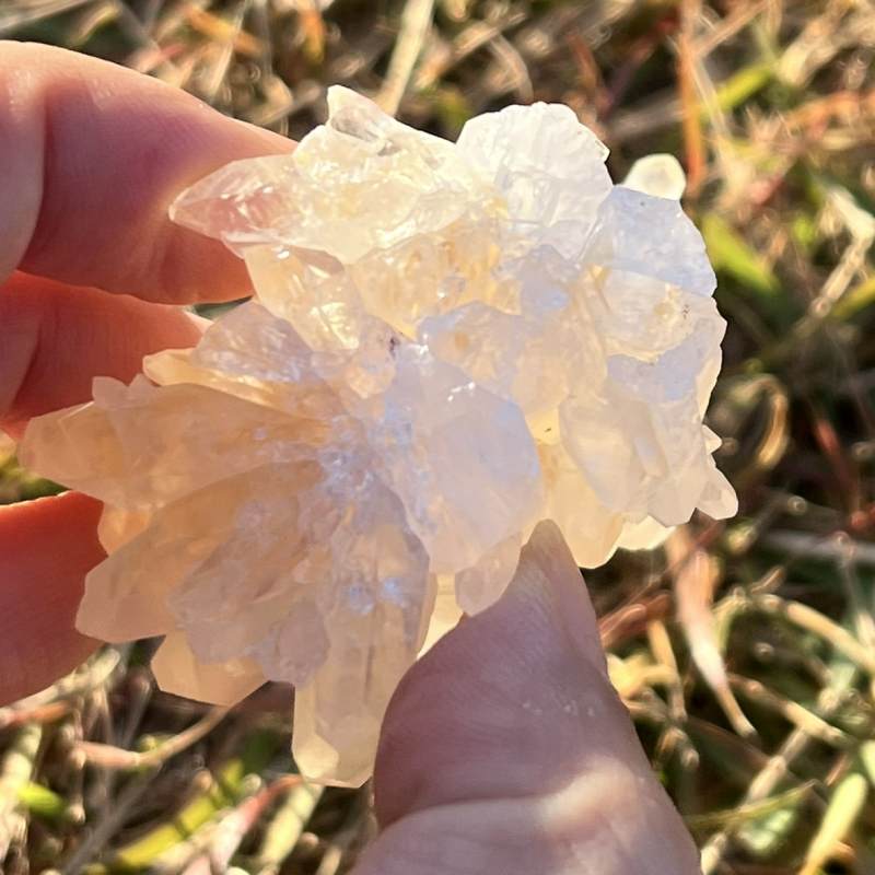 ヘブンリーカルサイト原石（超レア）（フューチャータイムリンク）