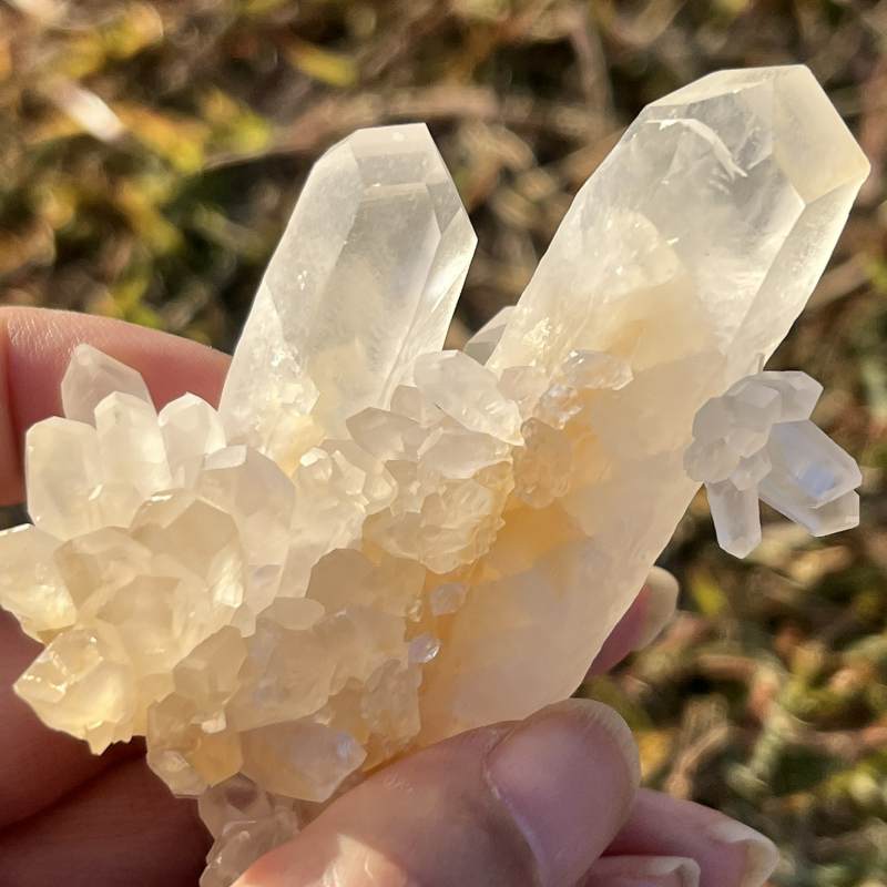 ヘブンリーカルサイト原石（超レア）（フューチャータイムリンク）