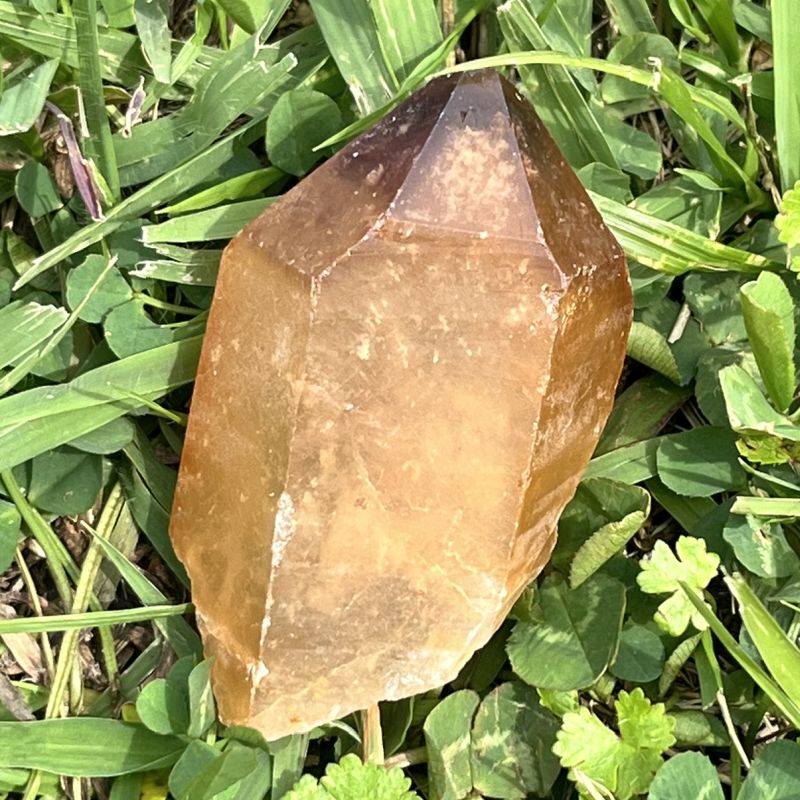 ドリームコート・レムリアン・ポイント（大きめ）1