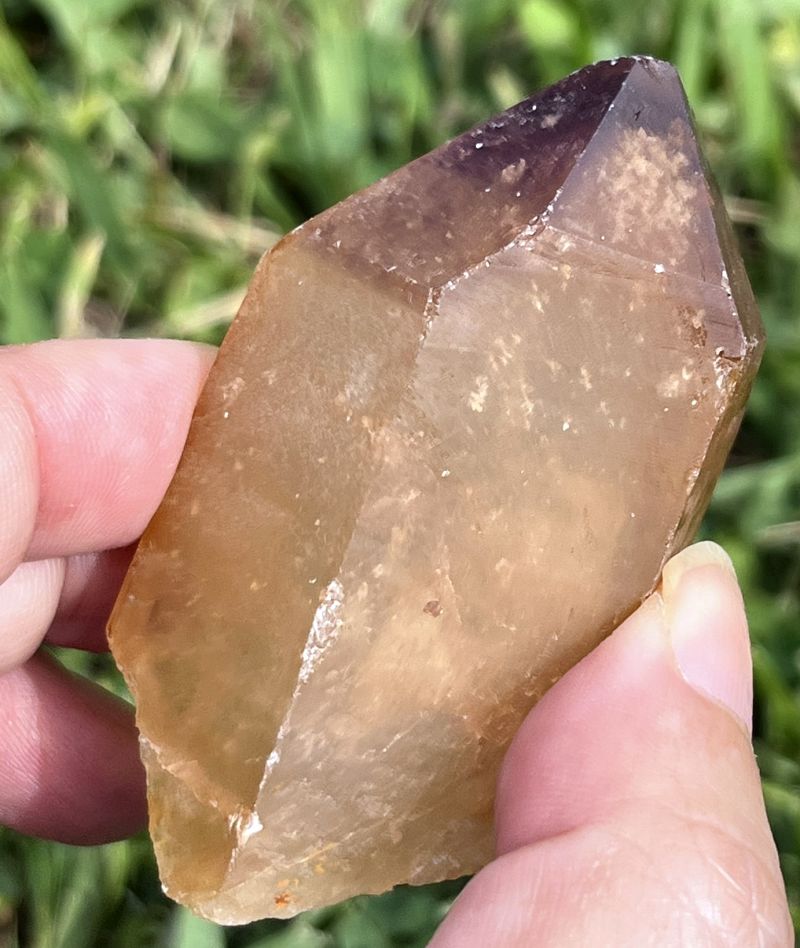 ドリームコート・レムリアン・ポイント（大きめ）1