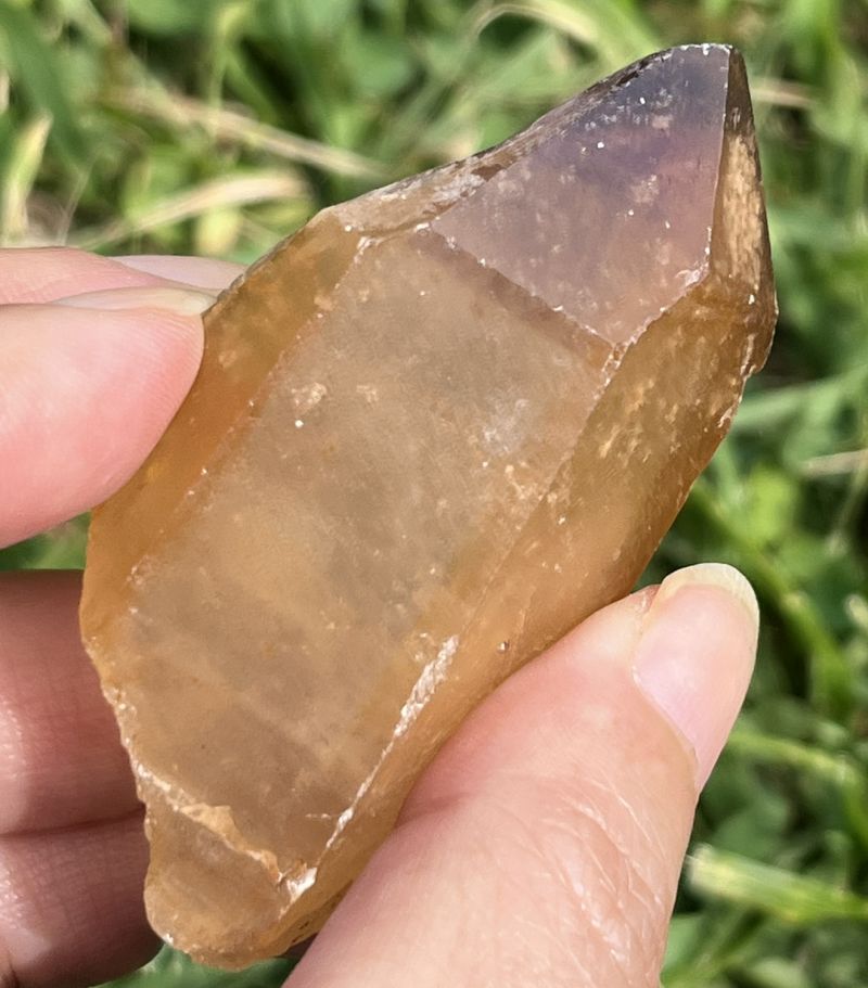 ドリームコート・レムリアン・ポイント（大きめ）1