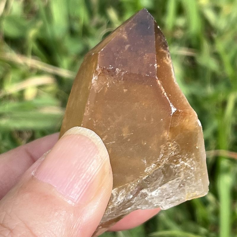 ドリームコート・レムリアン・ポイント（大きめ）1