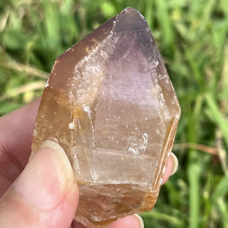 ドリームコート・レムリアン・ポイント（大きめ）1