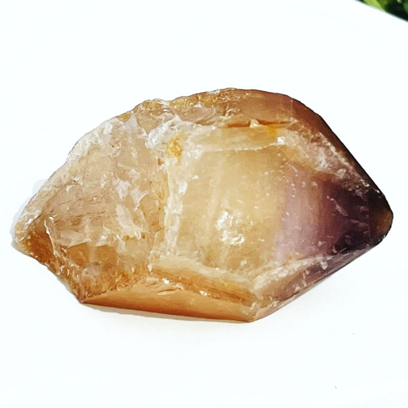 ドリームコート・レムリアン・ポイント（大きめ）1