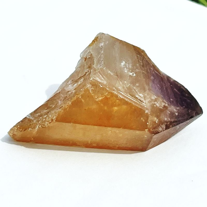 ドリームコート・レムリアン・ポイント（大きめ）1