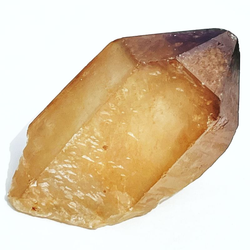 ドリームコート・レムリアン・ポイント（大きめ）1