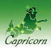 やぎ座[Capricorn]『太陽』