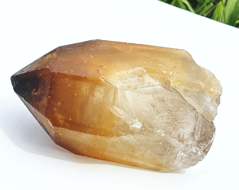 ドリームコート・レムリアン・ポイント（大きめ）2