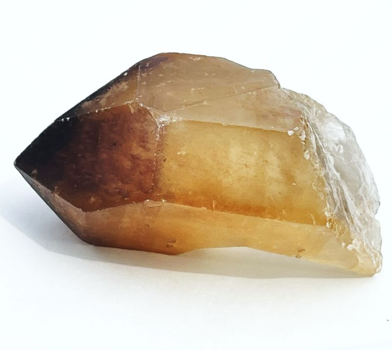 ドリームコート・レムリアン・ポイント（大きめ）2