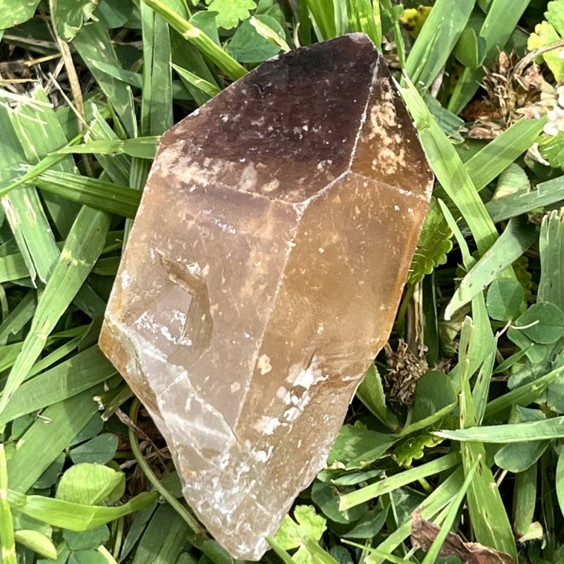 ドリームコート・レムリアン・ポイント（大きめ）2