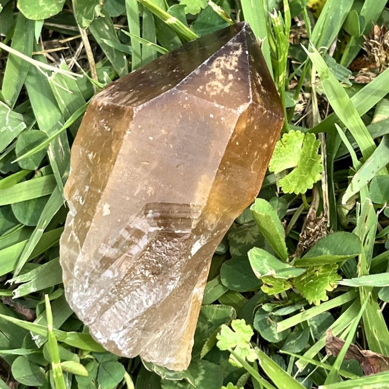 ドリームコート・レムリアン・ポイント（大きめ）2