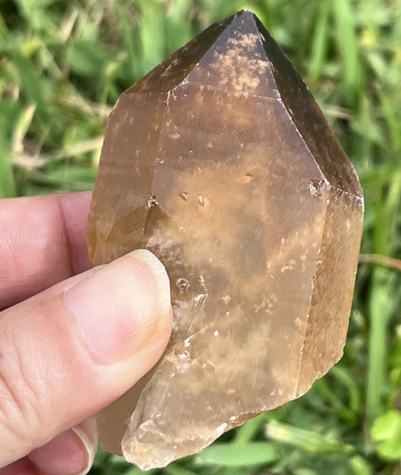 ドリームコート・レムリアン・ポイント（大きめ）2