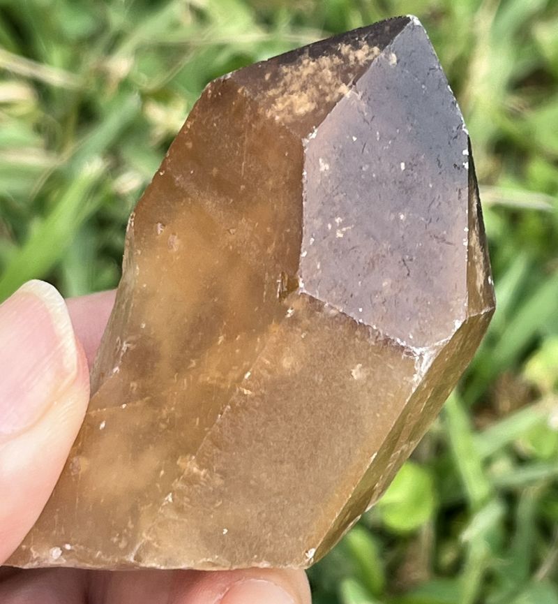 ドリームコート・レムリアン・ポイント（大きめ）2