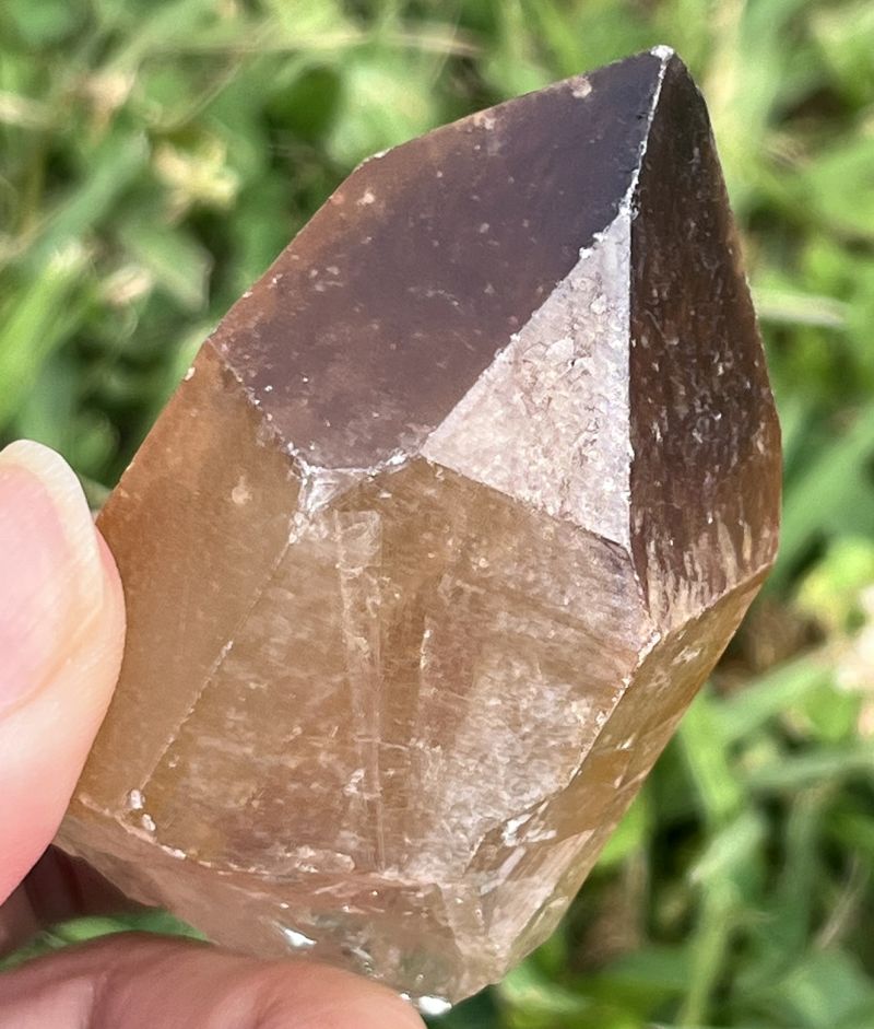 ドリームコート・レムリアン・ポイント（大きめ）2