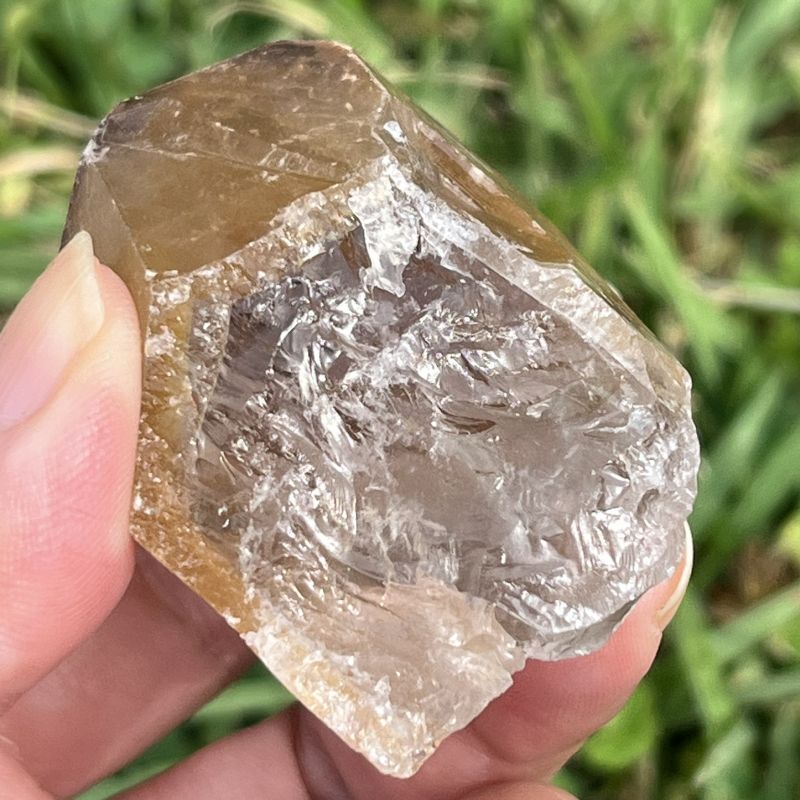 ドリームコート・レムリアン・ポイント（大きめ）2