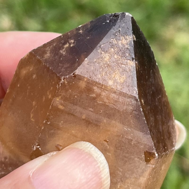 ドリームコート・レムリアン・ポイント（大きめ）2