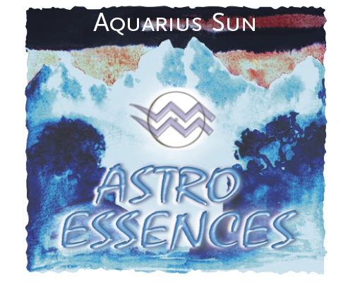 みずがめ座[Aquarius]『太陽』