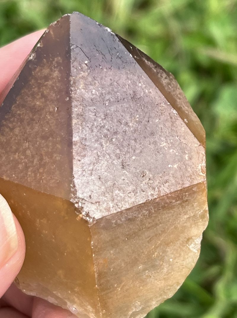 ドリームコート・レムリアン・ポイント（大きめ）3