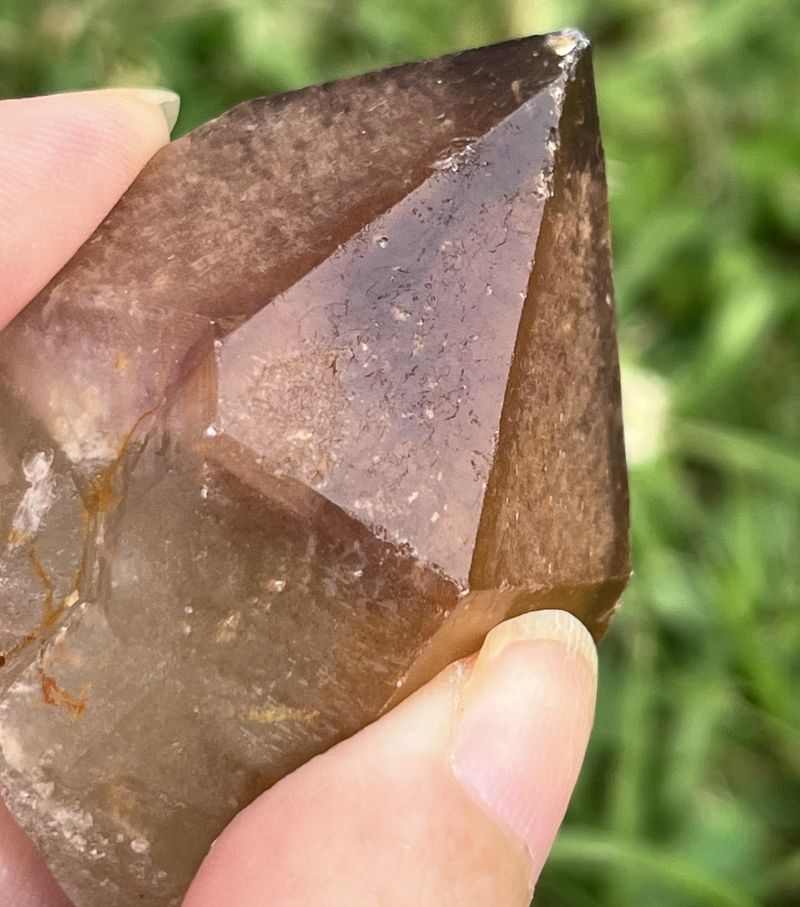 ドリームコート・レムリアン・ポイント（大きめ）3